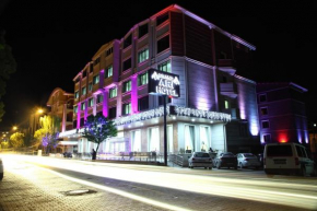 Гостиница Afyon Grand Ari Hotel  Афьон-Карахисар